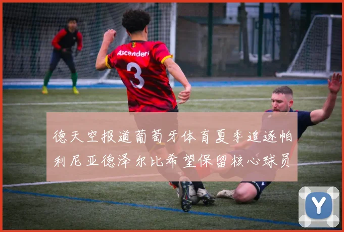 德天空报道葡萄牙体育夏季追逐帕利尼亚德泽尔比希望保留核心球员