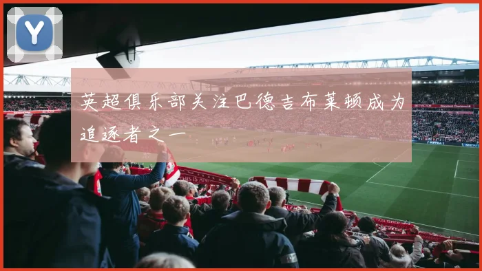 英超俱乐部关注巴德吉布莱顿成为追逐者之一